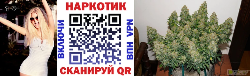 Наркошоп купить ГАШ  КЕТАМИН  А ПВП  МЕФ  Бошки Шишки  АМФ  Лукоянов