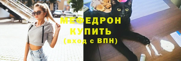 ГАЛЛЮЦИНОГЕННЫЕ ГРИБЫ Дмитриев