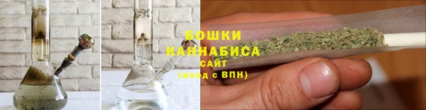 стаф Дмитровск