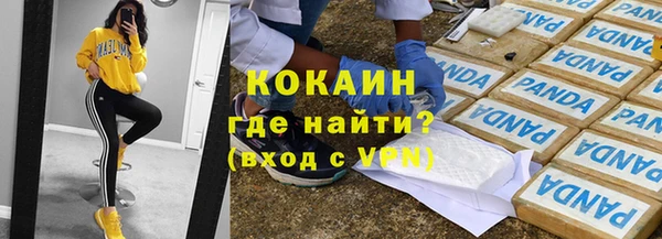 стаф Дмитровск