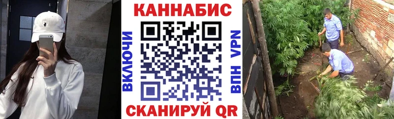 Канабис OG Kush  Купить где  Лукоянов 